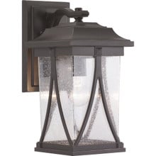 Abbott Collection One-Light Medium Wall Lantern - Wet Location Listed - Model P560114-020