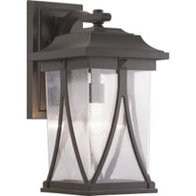 Abbott Collection One-Light Large Wall Lantern - Wet Location Listed - Model P560115-020