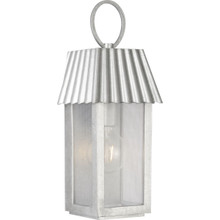Progress Lighting Hook Pond Galvanized Finish Outdoor Wall Lantern with DURASHIELD - Wet Location Listed - Model P560305-141
