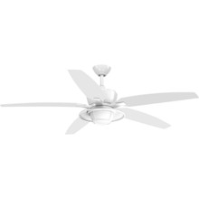Montague Collection 60" Indoor/Outdoor Five-Blade Ceiling Fan - Wet Location Listed - P2564-3030K