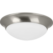 Two-Light 14" Etched Glass Flush Mount - Damp Location Listed - P350147-009