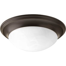 Two-Light Alabaster Glass 14" Close-to-Ceiling - Damp Location Listed - P3689-20