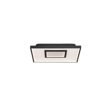 Pinpoint 15' LED Flush Mount Light 4000K in Black