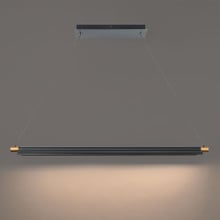 Pavilion 44' LED Pendant Light 3000K in Black/Aged Brass