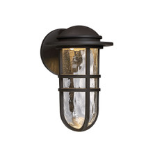 Steampunk 13' LED Outdoor Wall Sconce Light 3000K in Bronze