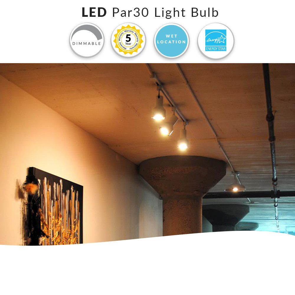 LED PAR30 Longneck Bulb - 10 Watt - 800 Lumens - 2700K Warm White - E26  Medium Base - 120V - Dimmable