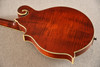 Eastman Mandolin MD814 F Style Oval Sound Hole Solid Adi Top - View 9