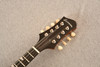 Eastman ER-M-GB El Rey Electric Mandolin with Humbucking Pickup - View 7