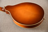 Eastman Electric Mandolin MD604-GB Oval Hole Solid Spruce Top - View 8