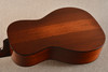 Eastman E10P-TC Thermo Cured Parlor Acoustic Guitar #m2315523 - Back Angle 