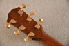 2015 Taylor 514ce-FM LTD #1111035137 - Back Headstock