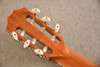 Taylor 812ce-N (2021) Nylon Crossover Classical #1212021104 - Back Headstock