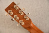Boucher SG-41-V Vintage Pack — Back Headstock