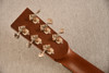 Boucher BG-42T-G NAMM (2026) - Back Headstock