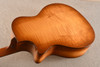 Taylor 614ce (2026) — Back 2