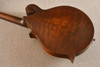 Eastman Mandola MDA315 - View 6