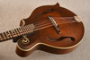 Eastman Mandola MDA315 - View 9