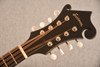 Eastman Mandola MDA315 - View 5