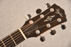 Taylor Gold Label 814e SB Honduran Rosewood (2025) — Headstock