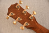 Taylor Next Generation Builder's Edition 814ce (2026) — Back Headstock