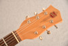 National Resophonic Resolectric Jr II 20th Anniversary Beechwood (2009) — Headstock