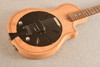 National Resophonic Resolectric Jr II 20th Anniversary Beechwood (2009) — Top