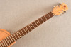 National Resophonic Resolectric Jr II 20th Anniversary Beechwood (2009) — Neck