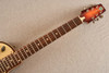 National Resophonic Resolectric (1999) — Neck