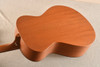 Breedlove USA Concerto Cinnamon Burst E — Back 2