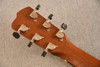 Breedlove USA Concerto Cinnamon Burst E — Back Headstock