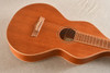 Lazy River Mahogany Weissenborn 6 String — Top 2