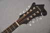 Eastman MDA315 Mandola F Style Solid Spruce Flamed Maple - View 4