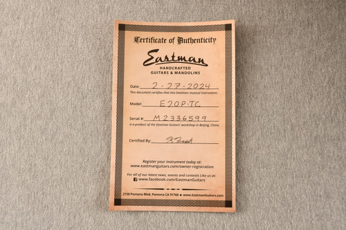 Eastman E20P-TC Parlor Thermo Cured Acoustic Adirondack Rosewood - View 2