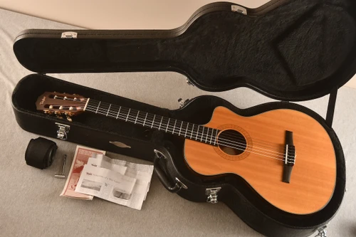Taylor NS42-CE (2005) Nylon Classical — Case