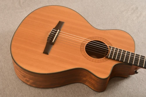 Taylor NS42-CE (2005) Nylon Classical — Top