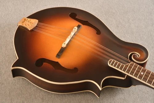 Robert Lawrence F Octave Mandolin Short Scale #101316115