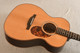 Boucher Guitar SG-51-MV Master Grade Vintage Pack - Top