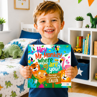 Hey Mr Monkey Story Book
