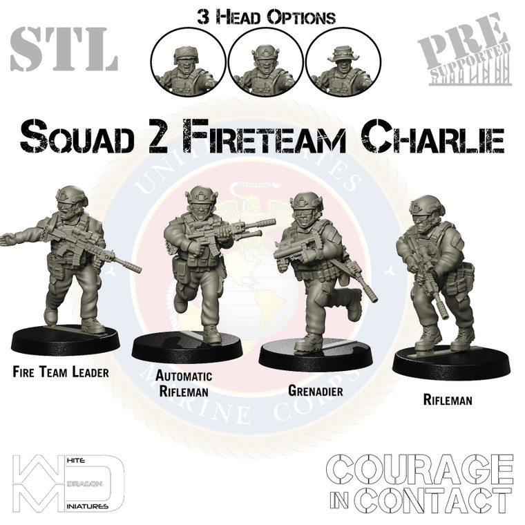 Squad 2 Fireteam Charlie - US Marines - STL
