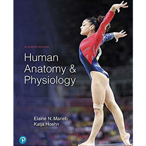 Essentials of Human Anatomy & Physiology (13th Global Edition) Elaine N ...