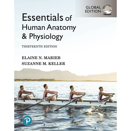 Essentials of Human Anatomy & Physiology (13th Edition) Elaine N Marieb and Suzanne M. Keller | 9781292401942