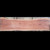 WA-1851