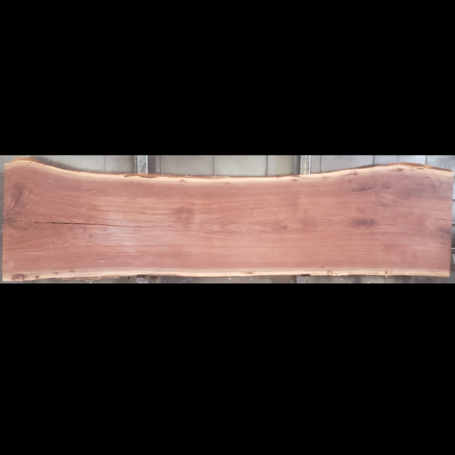 WA-1851