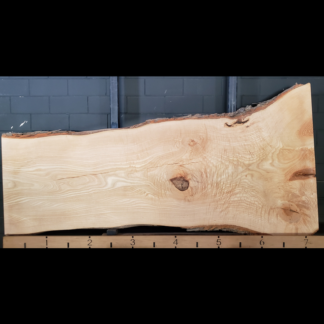 AS-1473 Live Edge Ash Slab
