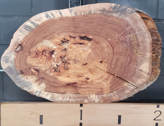 HI-1556 Hickory Live Edge Kiln Dried Slab | Yoder Lumber