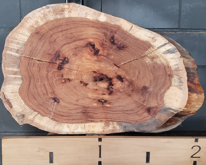 HI-1557 Hickory Live Edge Kiln Dried Slab | Yoder Lumber