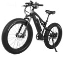 Rocky Road 48 Volt Fat Tire Electric Mountain Bicycle