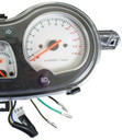 Speedometer Assembly (100-37)