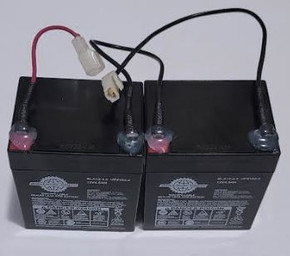 Battery Pack with Wiring Harness for Pulse Charger Electric Scooter