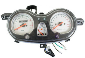 Speedometer Assembly (100-37)